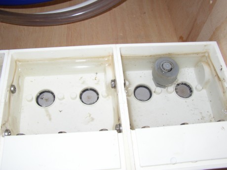 Ultraschallschwinger