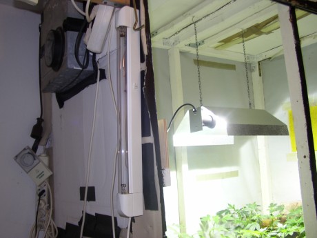 UVC Licht tötet Keime und Sporen
